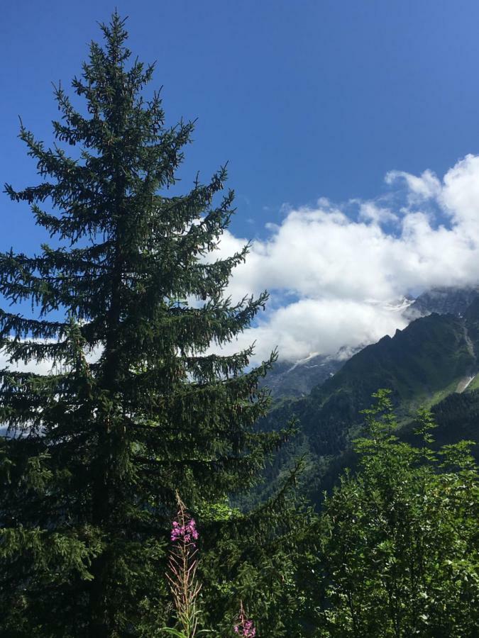 Les Pierres Blanches Mont Blanc Apartamento Les Contamines-Montjoie Exterior foto